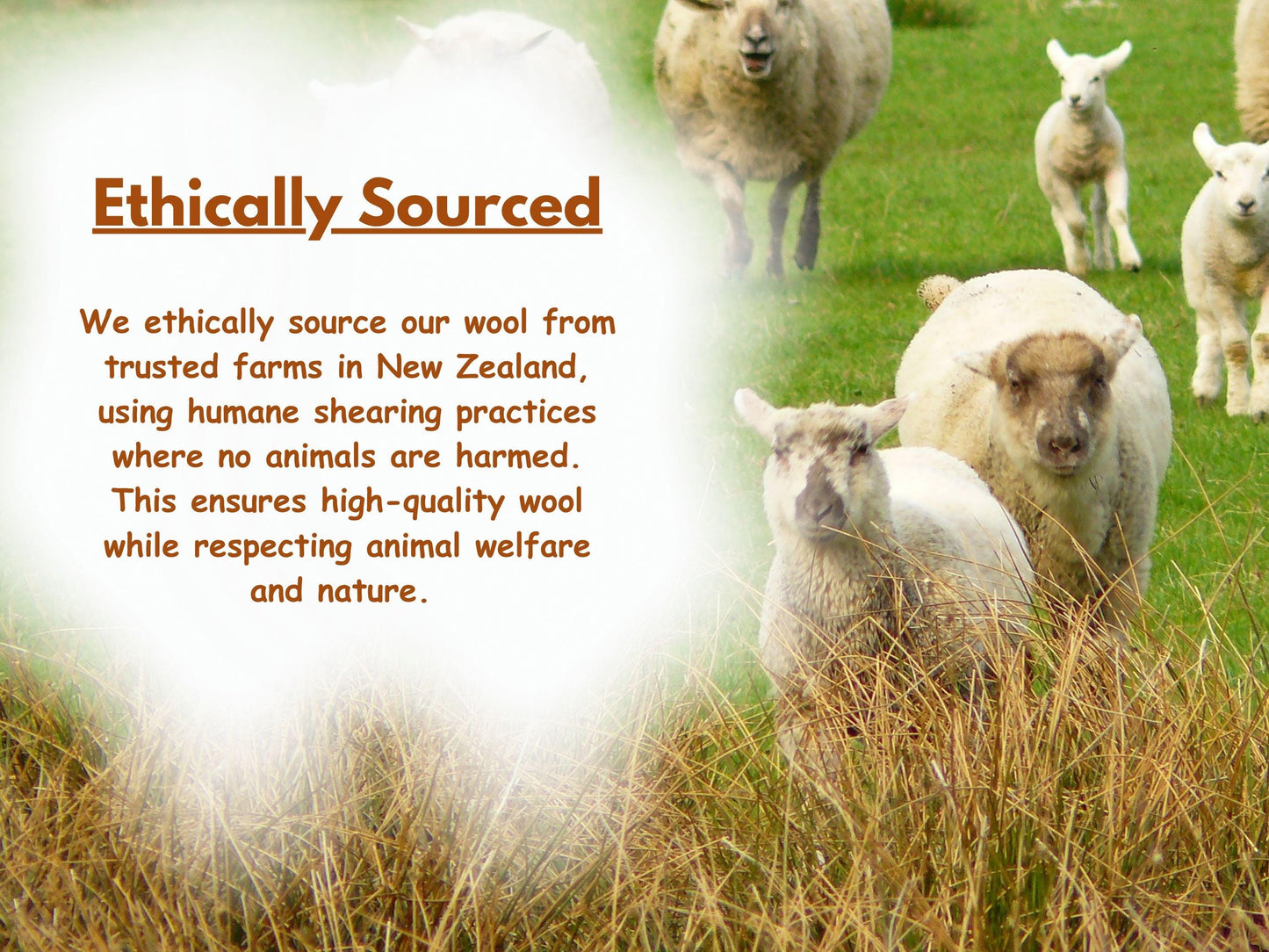 Handmade Felt Cat Cave | White with Brown Polka Dots, Wool Pet Bed (40cm)