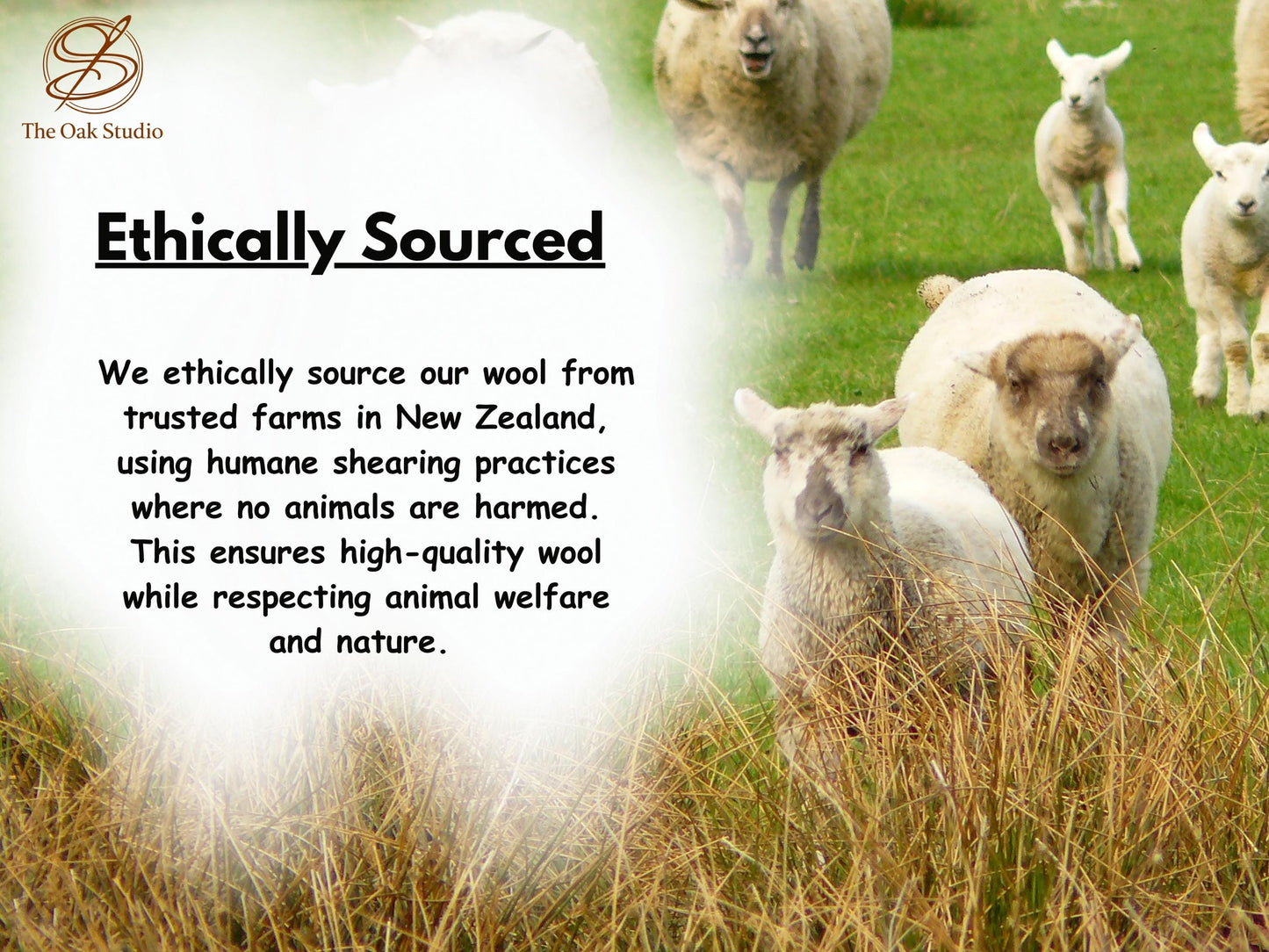 Handmade Felt Cat Cave – Cozy Wool Pet Bed, Natural Hideaway for Cats