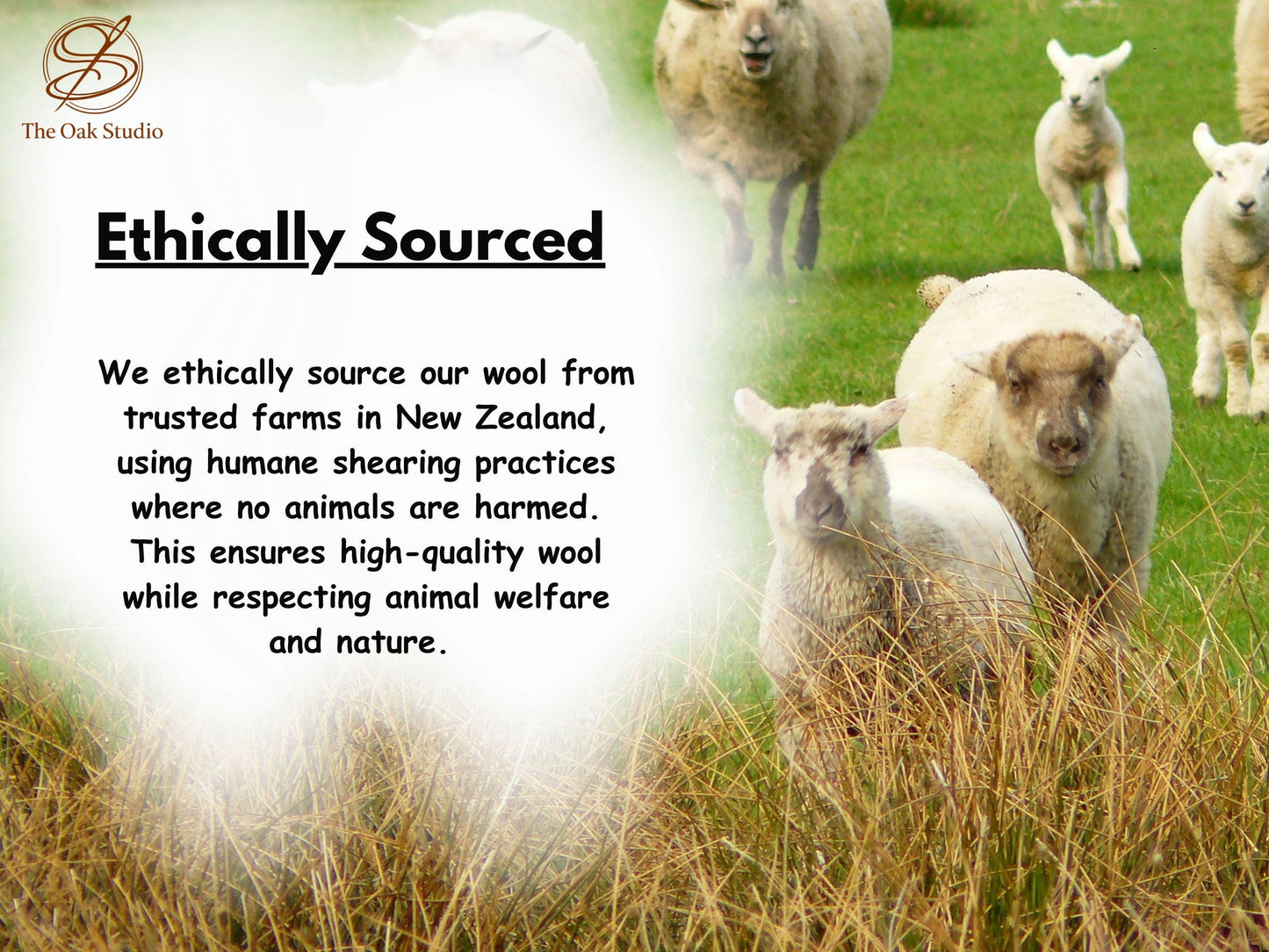 Set of 3 Light Blue Felt Ball Trivets – 16cm Round Wool Table Protector